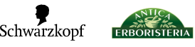 Logo Dixan